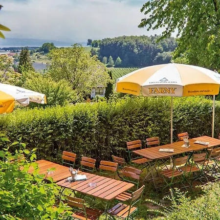 Krone & Restaurant 프리드리히스하펜