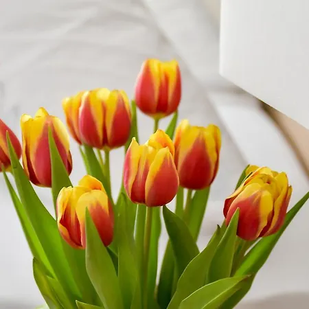 Krone & Restaurant Hotell 3*