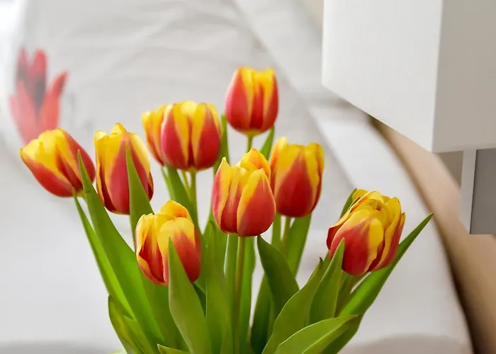 Krone & Restaurant 호텔 3*