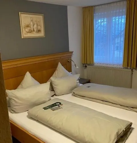 Krone & Restaurant 호텔 프리드리히스하펜