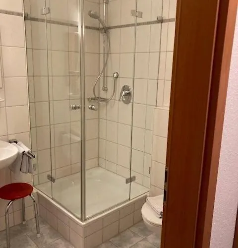 Krone & Restaurant 3* 프리드리히스하펜